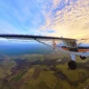 ulm multiaxe avid flyer
